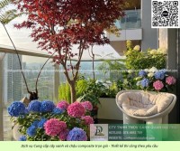 Thiết Kế Thi Công Cảnh Quan Sân Vườn Chậu Composite Theo Yêu Cầu Tại Bà Rịa – Vũ