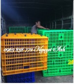 sóng nhựa công nghiệp 26 bánh xe chuyên đựng hàng hóa.0963838772