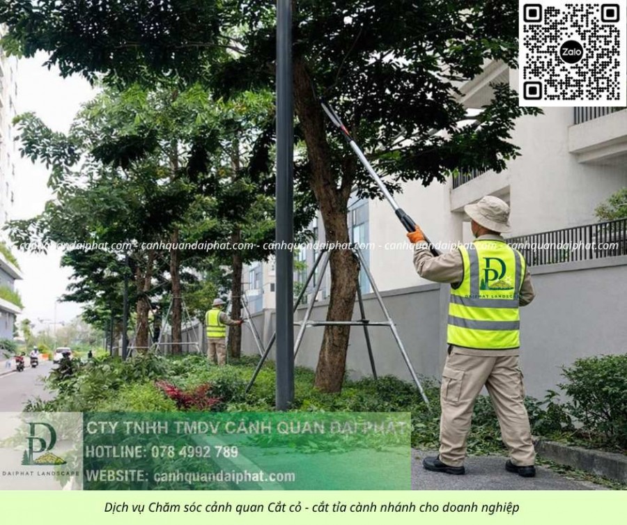 Dịch vụ cắt cỏ, chăm sóc cây xanh tại Long Thành Đồng Nai uy tín – chuyên nghiệp