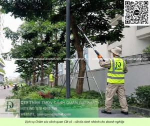 Dịch vụ cắt cỏ, chăm sóc cây xanh tại Long Thành Đồng Nai uy tín – chuyên nghiệp