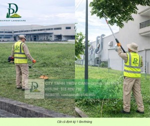 DỊCH VỤ CẮT CỎ – CHĂM SÓC CÂY XANH KHU CNC TĂNG NHƠN PHÚ TP.HCM
