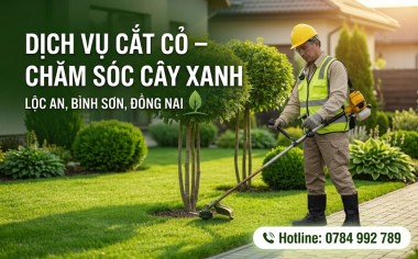 DỊCH VỤ CẮT CỎ – CHĂM SÓC CÂY XANH LỘC AN BÌNH SƠN ĐỒNG NAI
