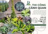 Thiết kế thi công tiểu cảnh sân vườn kiểng lá TPHCM, Đồng Nai 2026