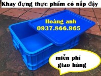 Thùng nhựa đặc(khay nhựa xếp chồng) , thùng nhựa đặc dùng tron