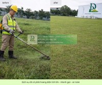 Dịch vụ cắt cỏ KCN Nhơn Trạch Đồng Nai – giá rẻ, nhanh gọn, sạch sẽ