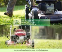 CẮT CỎ PHÁT HOANG ĐỒNG NAI CHO CÔNG TRÌNH – NHÀ MÁY – NHÀ XƯỞNG