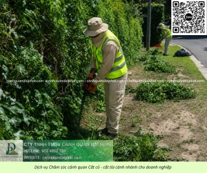 Dịch vụ Cắt cỏ - Chăm sóc cây xanh KCN Nhơn Trạch Đồng Nai
