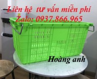 Địa chỉ tin cậy bán sóng nhựa, sọt có quai tại Hà Nội, bán sóng như
