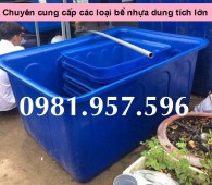 Bể nhựa nuôi thủy hải sản, bồn nhựa chữ nhật dung tích lớn