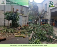 CƯA CÂY KCN TAM PHƯỚC – ĐỒNG NAI