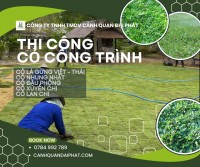 TRỒNG CỎ NHUNG NHẬT – KCN LONG THÀNH, ĐỒNG NAI