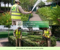 Dịch Vụ Cắt Cỏ, Cưa Cây Long Thành – Long Đức Đồng Nai Nhanh Gọn, An Toàn, Giá T