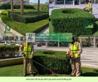 Dịch vụ cắt cỏ – cắt tỉa cây xanh định kỳ giá rẻ KCN Long Đức, Đồng Nai