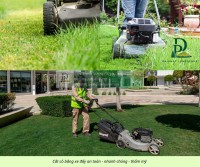 Dịch vụ cắt cỏ – cắt tỉa cây xanh nhà máy KCN Long Thành, Đồng Nai