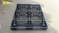 Cần bán thanh lí 200 pallet cũ, giá rẻ 0988 081 327