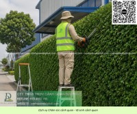 Dịch vụ chăm sóc cây xanh, cưa cây, cắt cỏ tại KCN Dĩ An, Bình Dương và TP.HCM