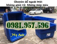 ​Thùng làm hệ Aquaponics, thùng nhựa nuôi cá, nuôi tôm