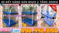 Xe đẩy hàng 2 tầng sàn nhựa 300kg giá rẻ