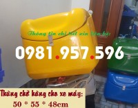 Thùng chở hàng loại trung, thùng giao hàng sau xe máy loại trung