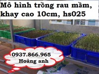 Thùng nhựa vuông có nắp, thùng nhựa hình chữ nhật,giá thùng nhựa đặc, khay nhựa