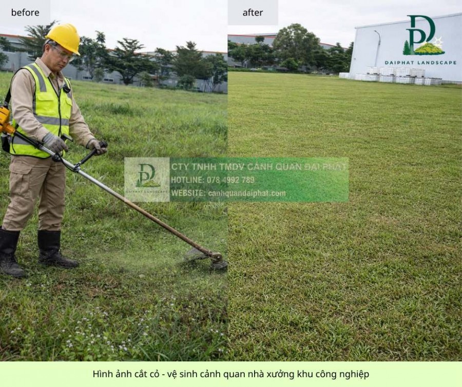 Dịch vụ Cắt cỏ – Chăm sóc Cây xanh Nhà xưởng KCN An Phước, Đồng Nai