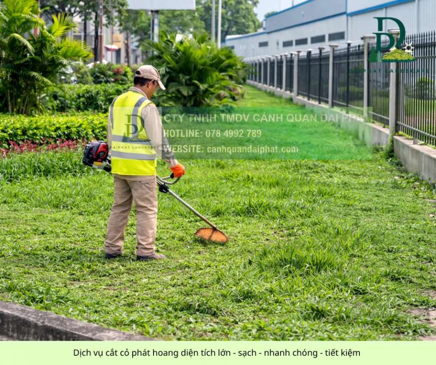 DỊCH VỤ CẮT CỎ ĐỊNH KỲ CÔNG TY – NHÀ XƯỞNG KCN BIÊN HÒA, ĐỒNG NAI