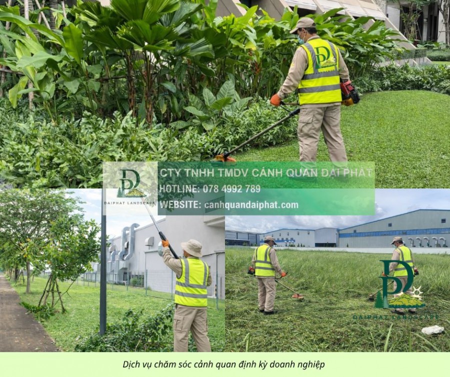 DỊCH VỤ CẮT CỎ – CHĂM SÓC CÂY XANH KCN LỘC AN BÌNH SƠN ĐỒNG NAI
