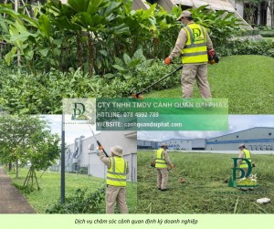 DỊCH VỤ CẮT CỎ – CHĂM SÓC CÂY XANH KCN LỘC AN BÌNH SƠN ĐỒNG NAI