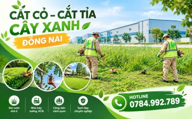 DỊCH VỤ CẮT CỎ – CẮT TỈA CÂY XANH ĐỒNG NAI
