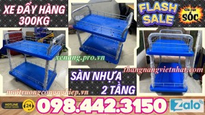 Xe đẩy 2 tầng sàn nhựa 300kg