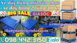Xe đẩy hàng 2 tầng sàn nhựa 300kg FD300T2