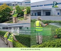 Dịch vụ chăm sóc cây xanh cắt cỏ cắt tỉa cảnh quan định kỳ tại Đồng Nai