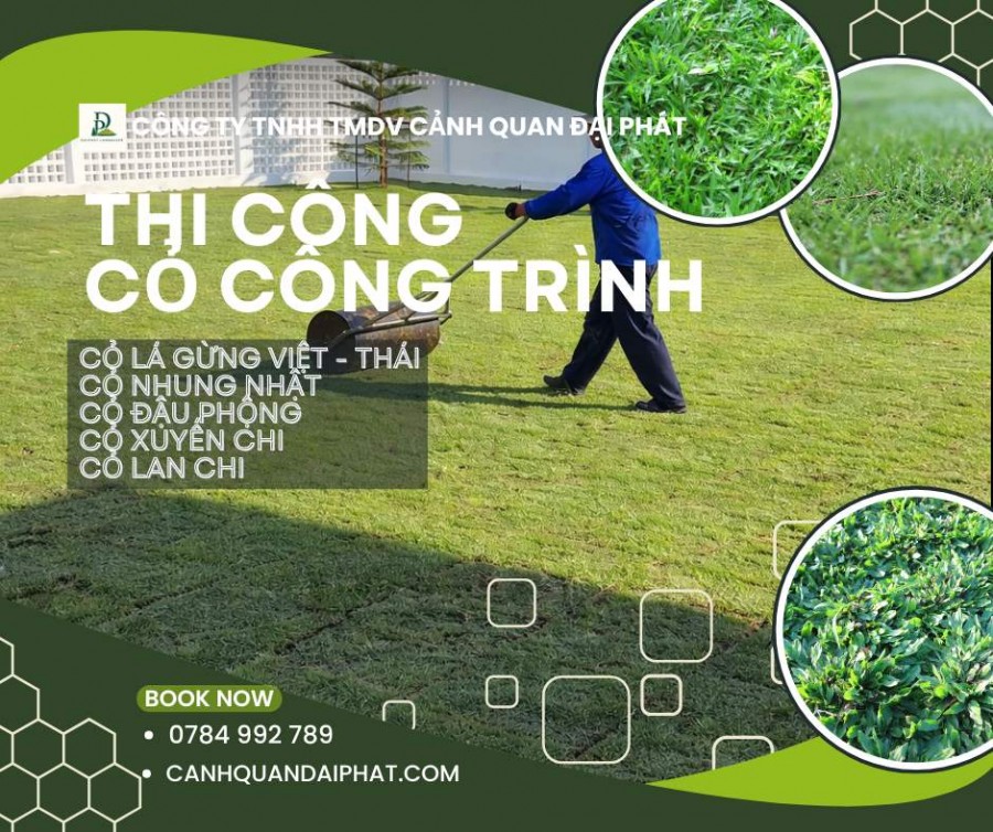 CUNG CẤP & THI CÔNG CỎ CÔNG TRÌNH ĐỒNG NAI