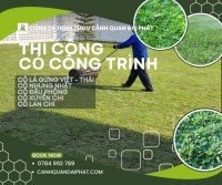 CUNG CẤP & THI CÔNG CỎ CÔNG TRÌNH ĐỒNG NAI