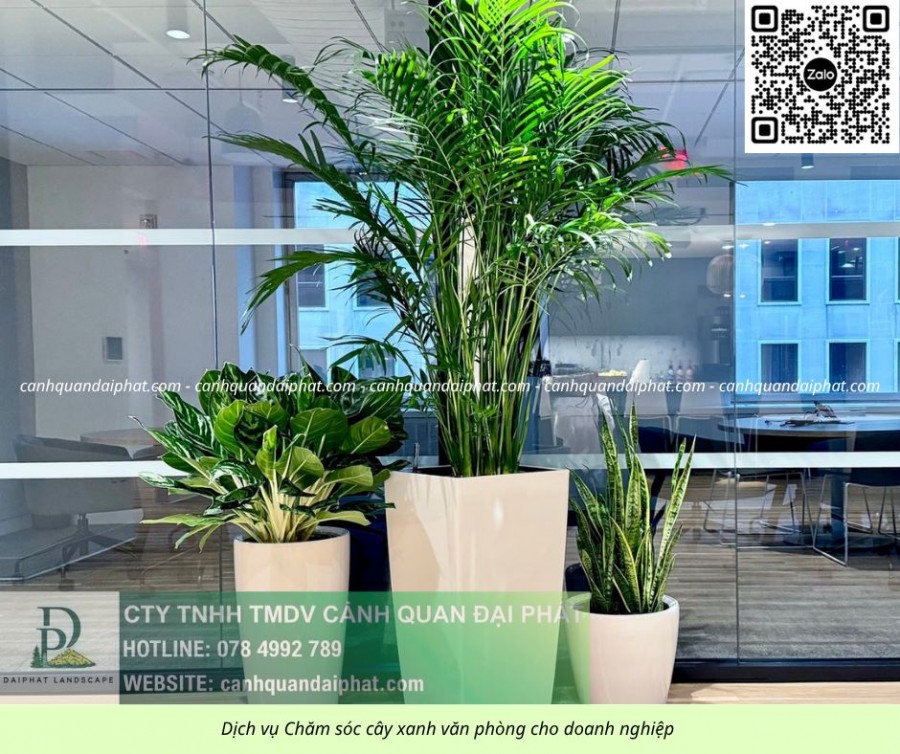 Dịch vụ Chăm sóc cây xanh Văn phòng Đồng Nai