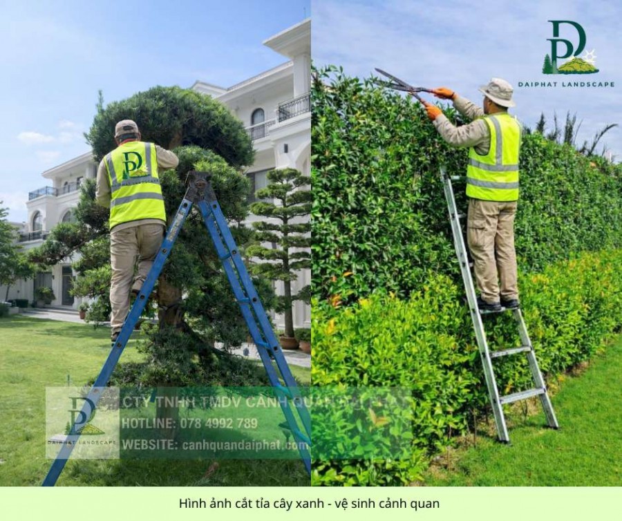 CHĂM SÓC CÂY XANH – BẢO DƯỠNG CẢNH QUAN ĐỒNG NAI