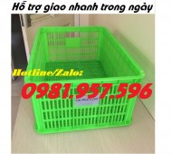 Sọt nhựa đựng hoa quả, sóng nhựa Hs014, sóng nhựa 2T5