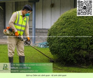 DỊCH VỤ CẮT CỎ – CƯA CÂY BÌNH DƯƠNG | NHANH CHÓNG – AN TOÀN – CHUYÊN NGHIỆP