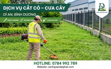 Dịch vụ cắt cỏ – cưa cây Dĩ An, Bình Dương