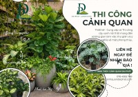 Thiết kế Thi công cây xanh nội thất trang trí văn phòng, quán cafe