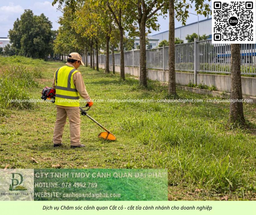 Dịch vụ cưa cây – cắt cỏ Đồng Nai | Cưa hạ cây, cắt cỏ, vệ sinh cảnh quan chuyên nghiệp