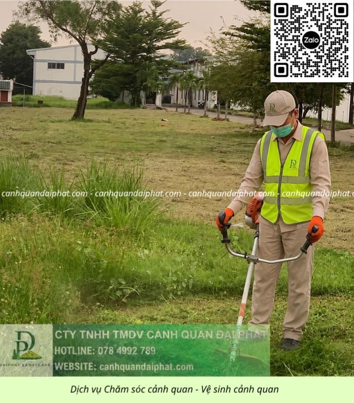 DỊCH VỤ CƯA CÂY – CẮT CỎ LONG ĐỨC LONG THÀNH ĐỒNG NAI