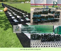 CUNG CẤP CÂY XANH – THẢM CỎ GIÁ SỈ TẠI VƯỜN | ĐỒNG NAI – TP.HCM – LONG AN