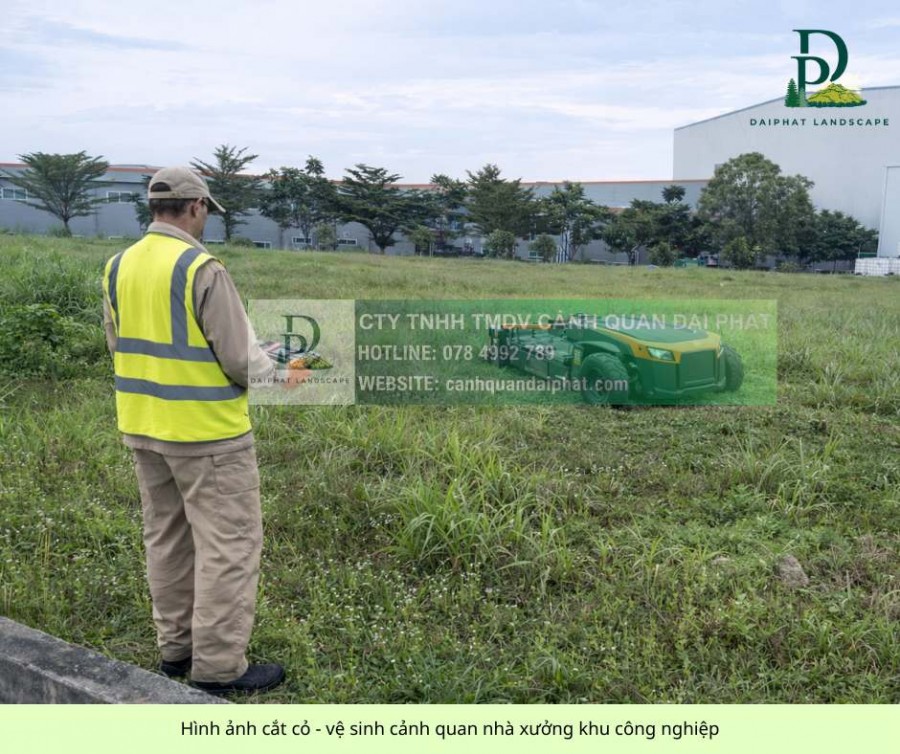 DỊCH VỤ CẮT CỎ – CƯA CÂY TẠI KCN LONG THÀNH, ĐỒNG NAI