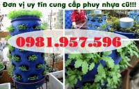 ​Phuy nhựa 2 nắp nhỏ cũ, phuy nhựa cũ 2 đai, phuy nhựa cũ