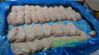 Cánh gà nhập khẩu từ Ý, Brazil, Ba Lan – Có CO, CQ đầy đủ