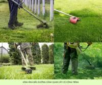 Báo giá cắt cỏ, cắt tỉa, chăm sóc cây xanh Đồng Nai mới nhất 2026