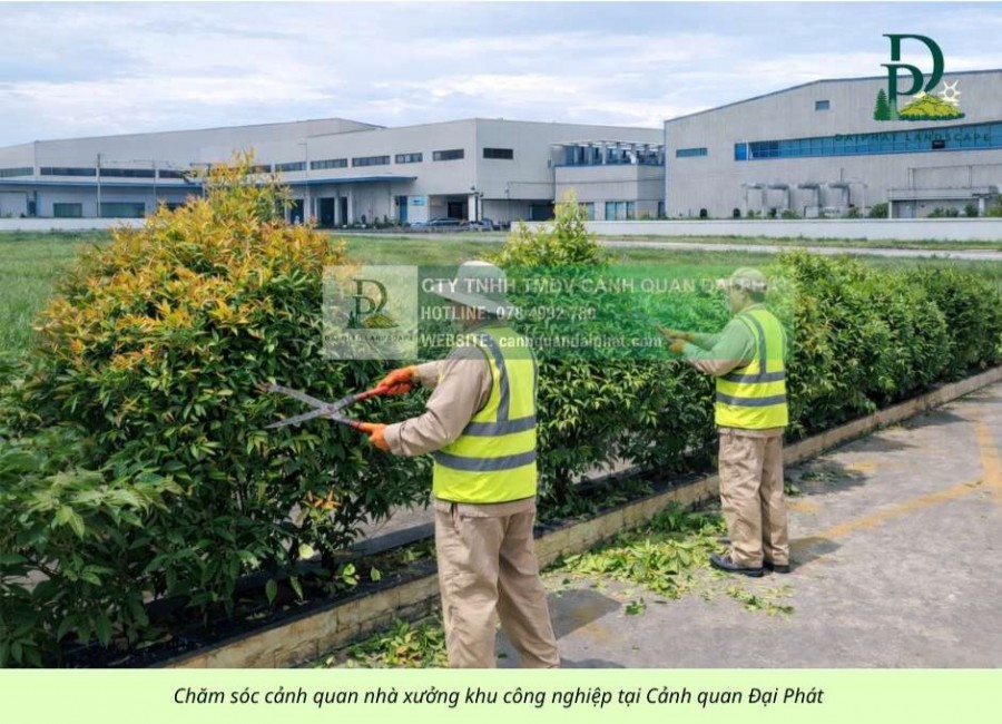 CHĂM SÓC – CẮT TỈA CÂY XANH ĐỊNH KỲ TẠI KCN LONG THÀNH ĐỒNG NAI