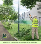 DỊCH VỤ CẮT CỎ – CƯA CÂY KCN NHƠN TRẠCH, ĐỒNG NAI