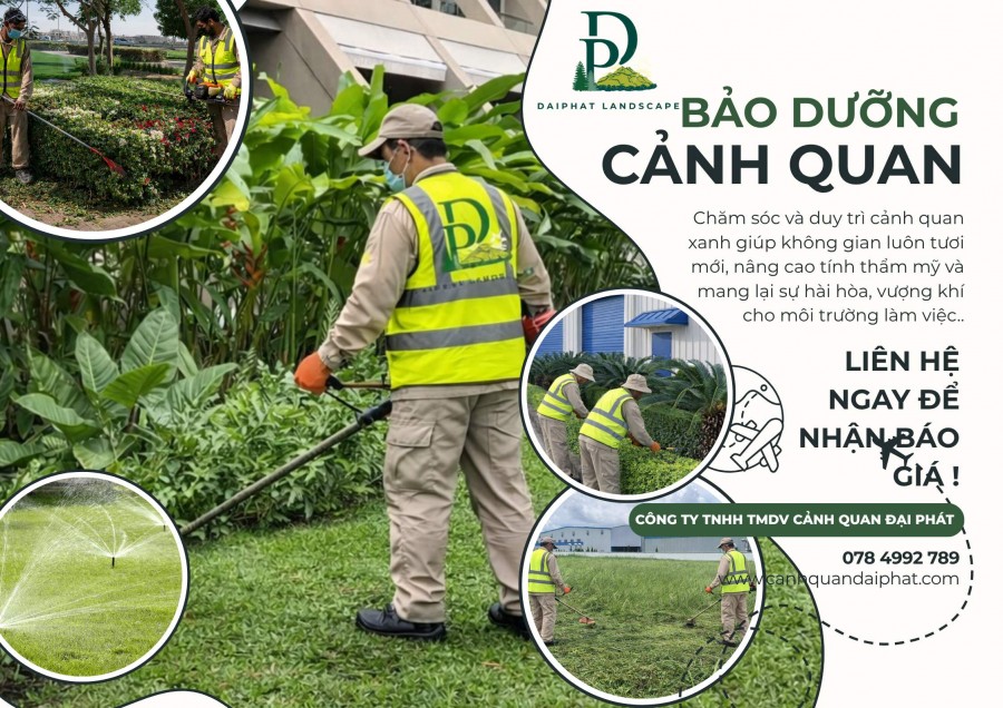 Dịch vụ chăm sóc cây xanh bảo dưỡng cảnh quan chuyên nghiệp tại Long thành Long
